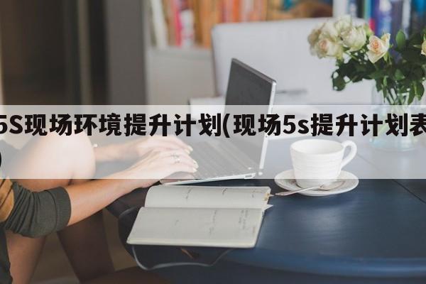 5S现场环境提升计划(现场5s提升计划表)